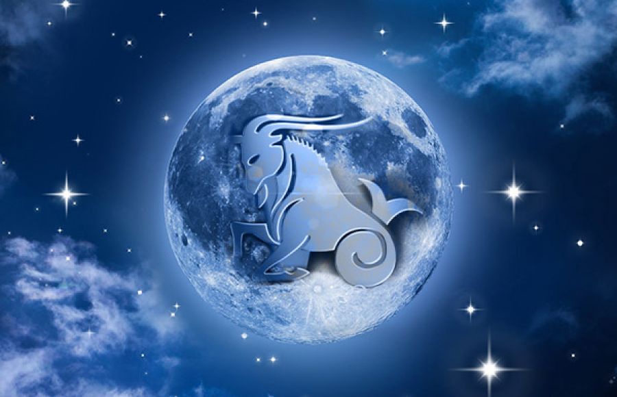 MLAĐAK U JARCU MLAĐAK U JARCU