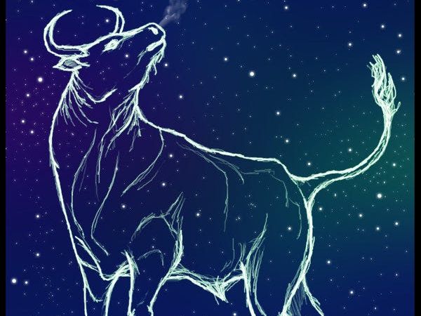STELLIUM U BIKU